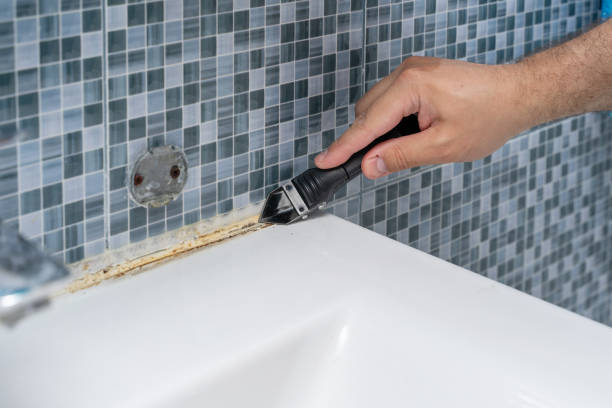 Best Mold Removal Near Me  in Ocean View, DE