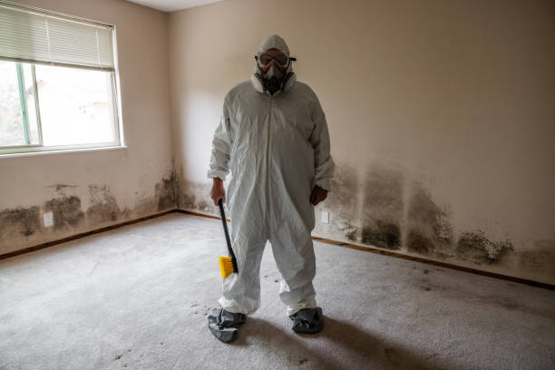 Best Mold Testing  in Ocean View, DE